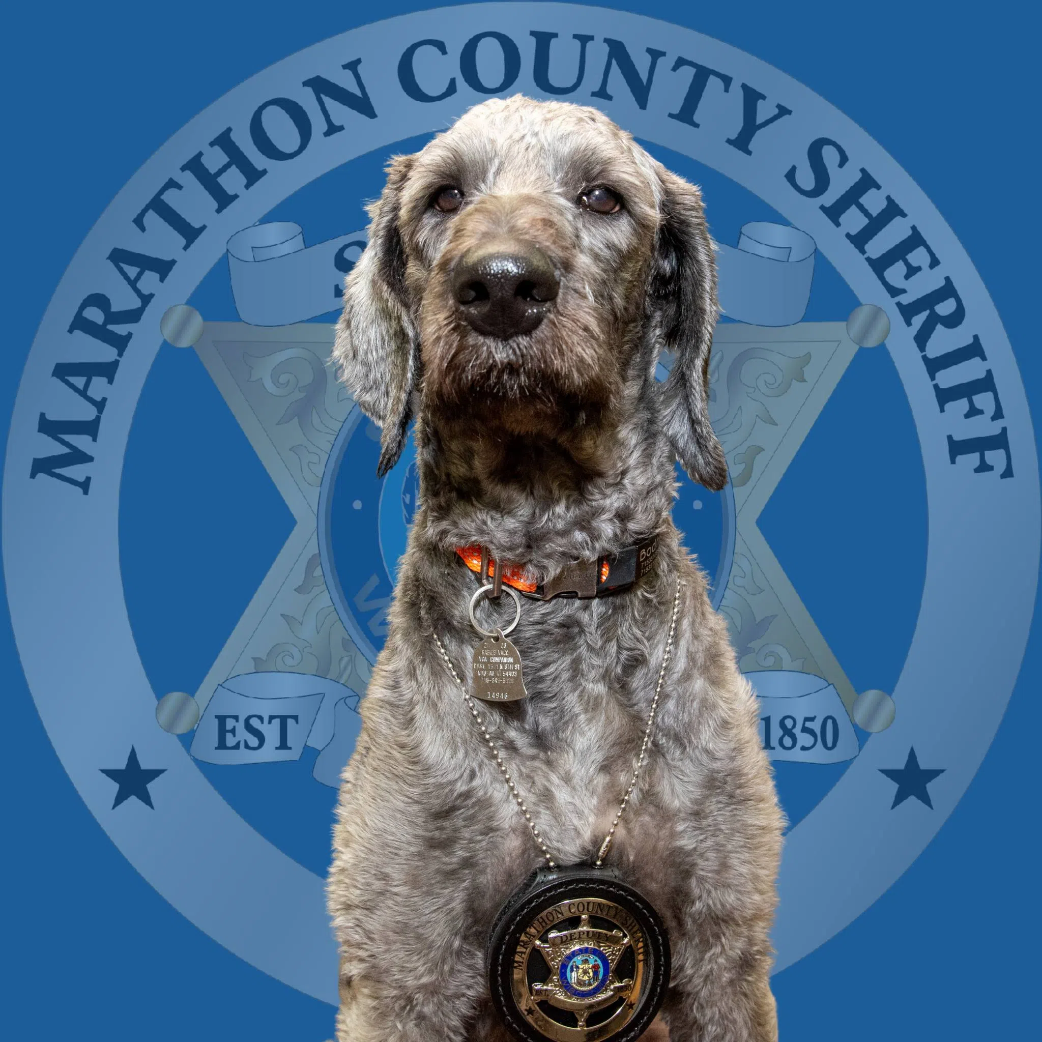Police To Citizen Marathon County - 8ftrvoq