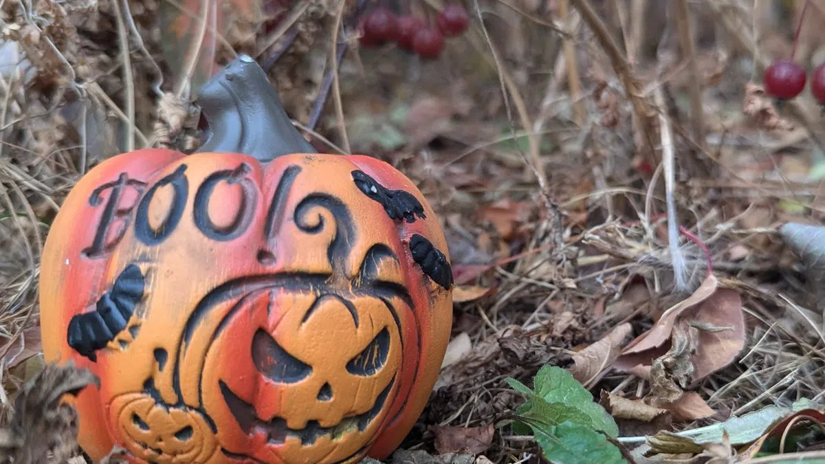 Five Halloween events to spice up your spooky season CMRU CA