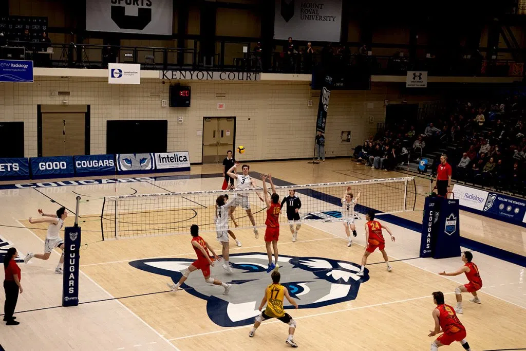 MRU Cougars Middle #3 jumps to sell a spike shot as the dummy, to force #18 Cam Hunt of the U of C Dinos to jump with him.