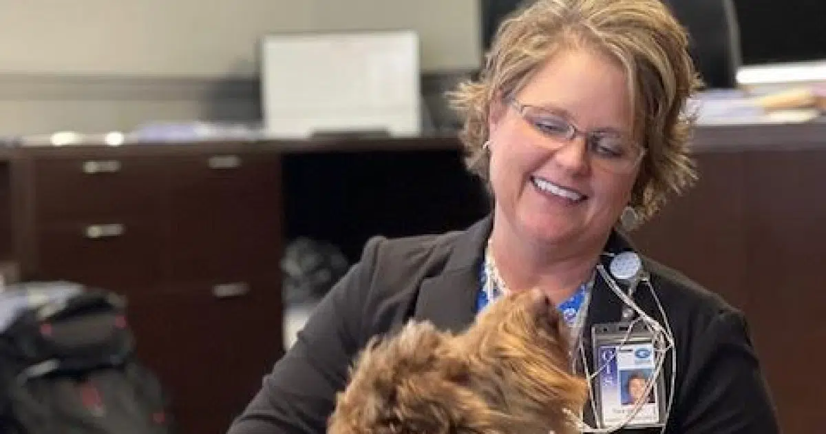 Emotional support dogs bring comfort to Glasgow students Glasgow News 1