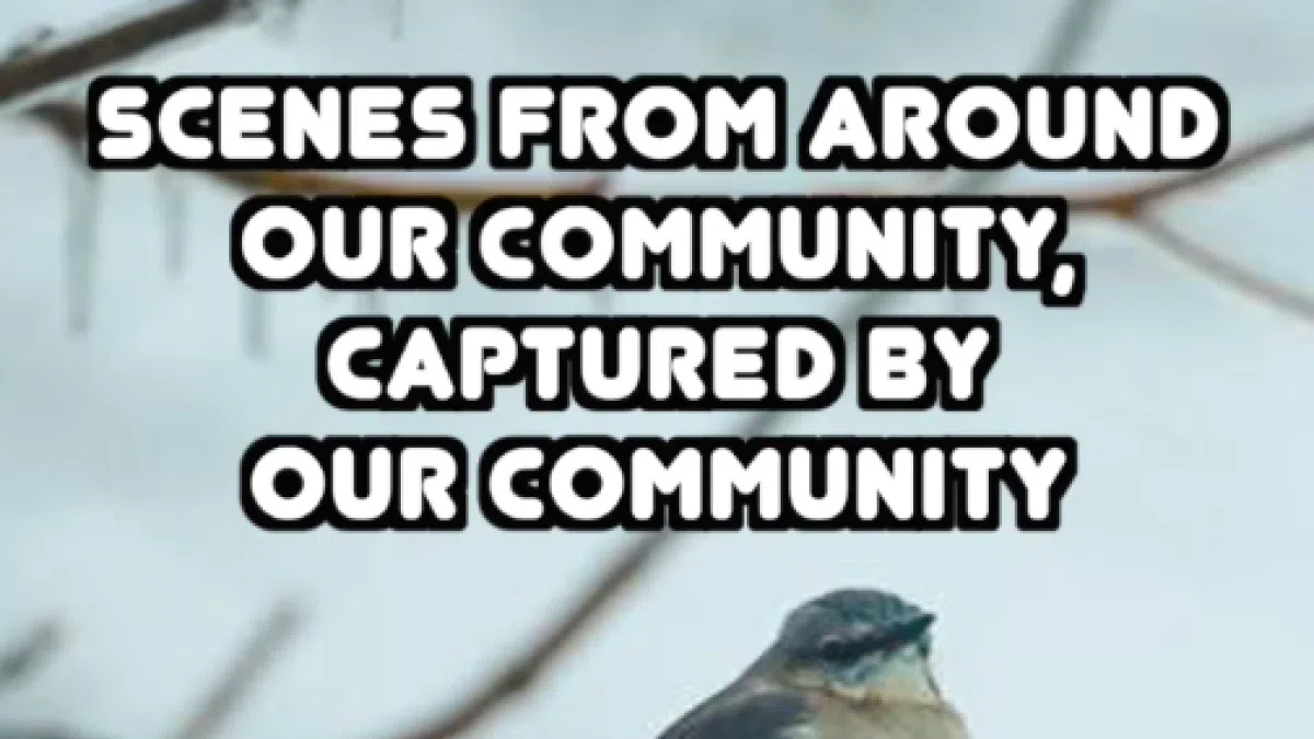 VIDEO: Scenes from around our community, captured by our community
