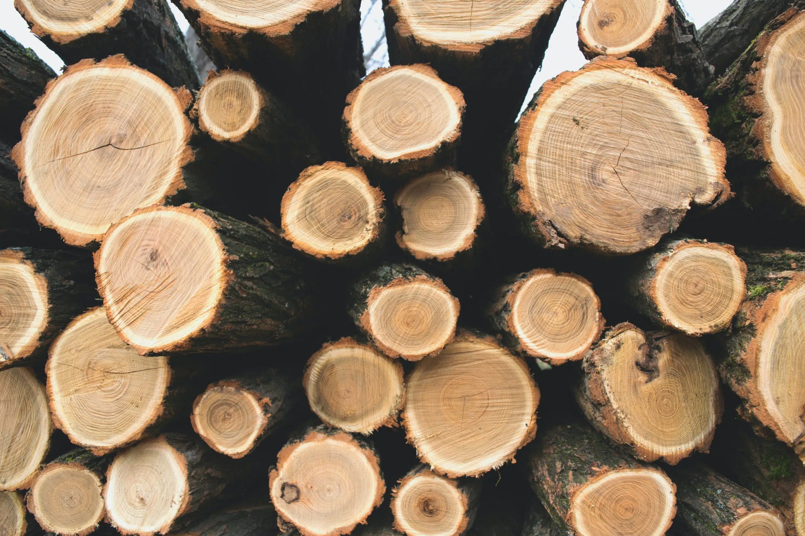 Canada Formally Challenges U.S. Softwood Lumber Duties