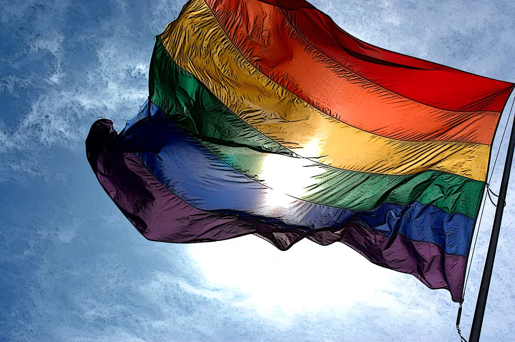 LGBTQ+ advocates welcome report on Policy 713