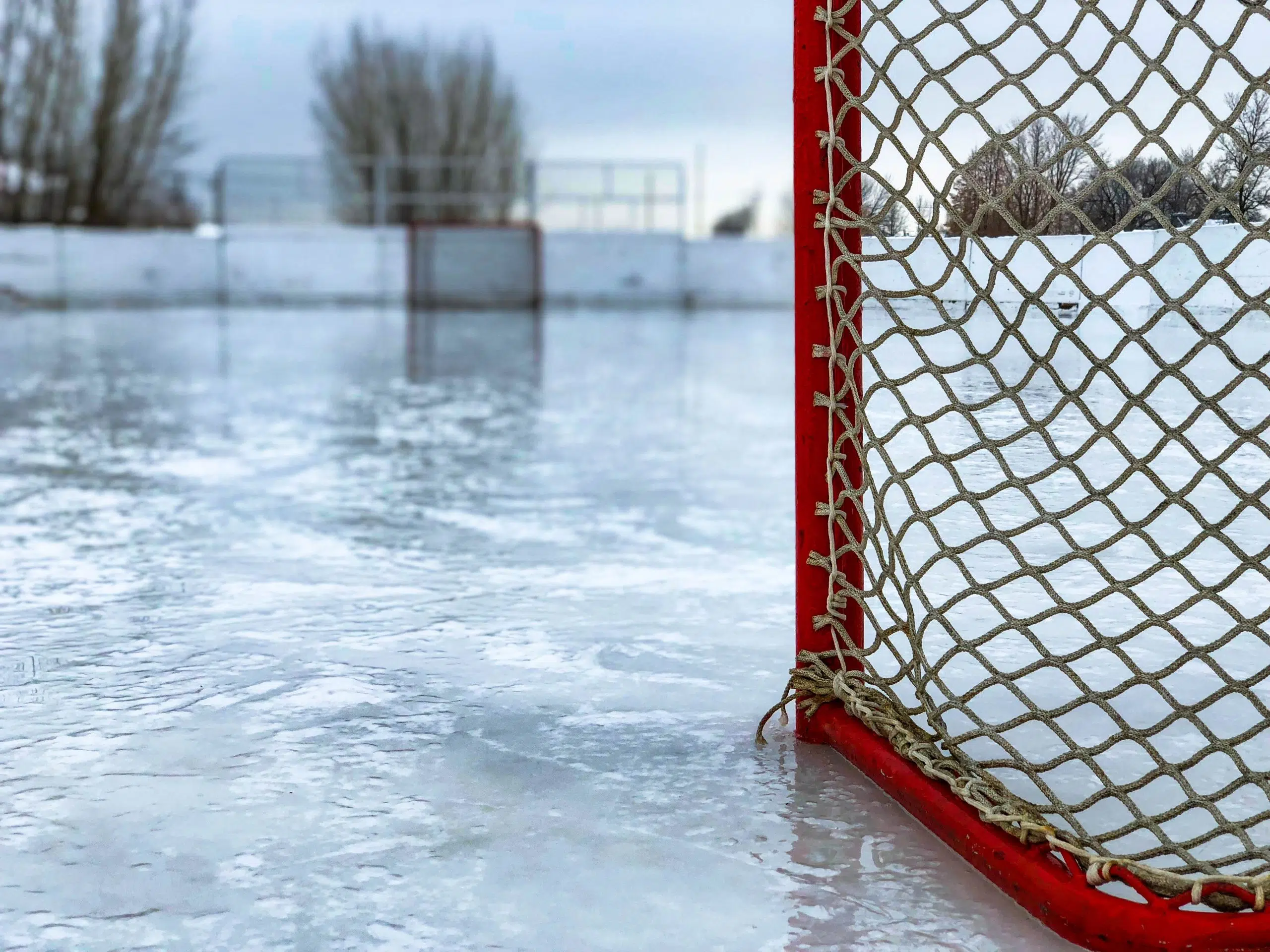 Minor Hockey Players Doing Good Deeds For Charity Donation