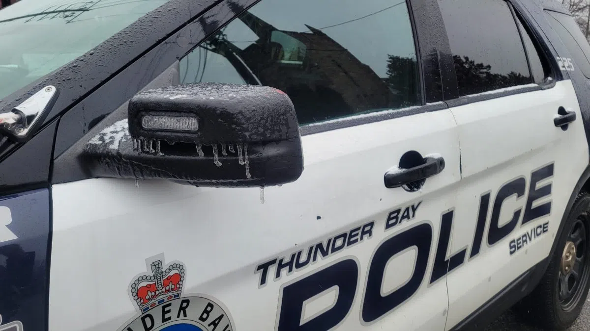 12 people facing 172 charges following Thunder Bay cyber crime investigation