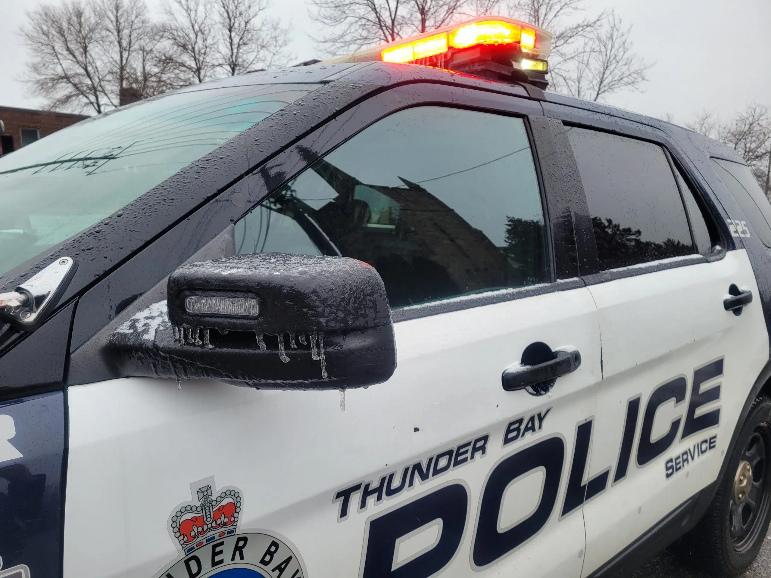 Thunder Bay resident charged after hit and run