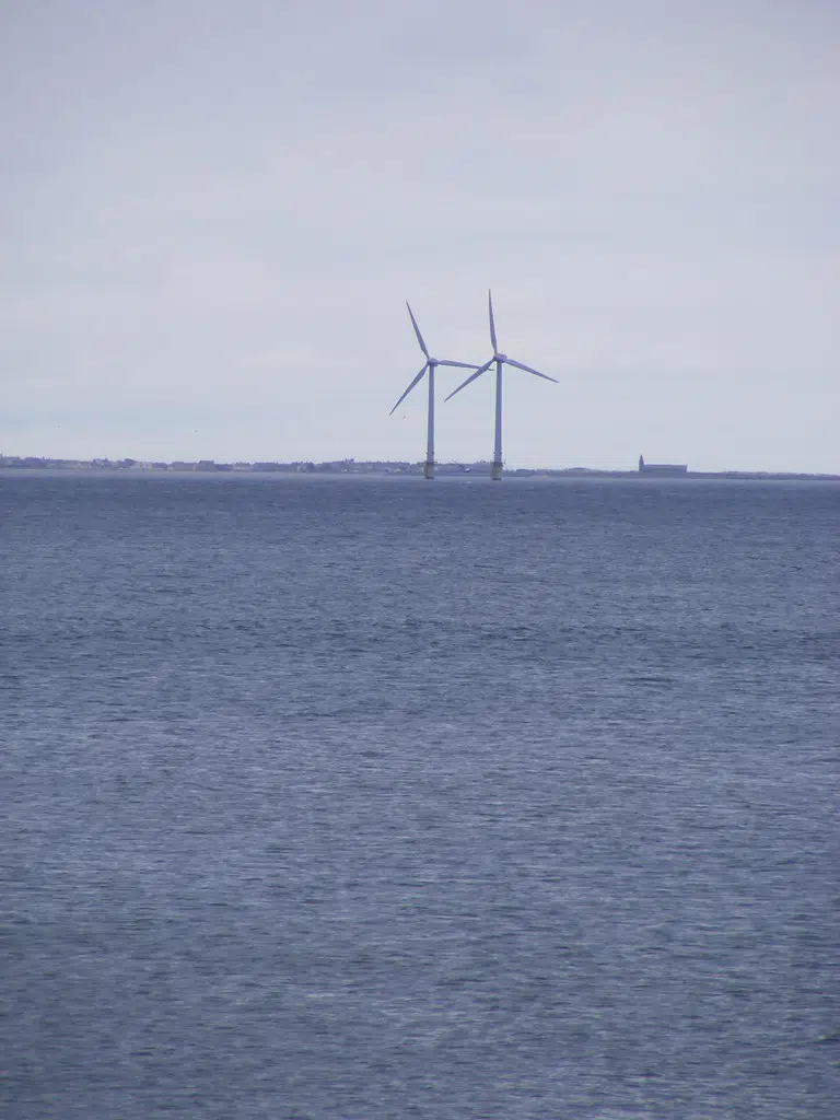 Federal Government Investing in Offshore Wind Projects