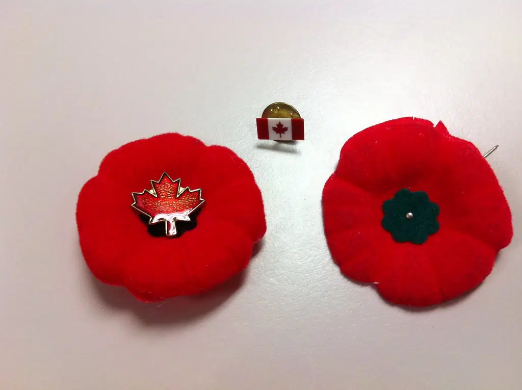 Remembrance Day Ceremony Returns To qplex