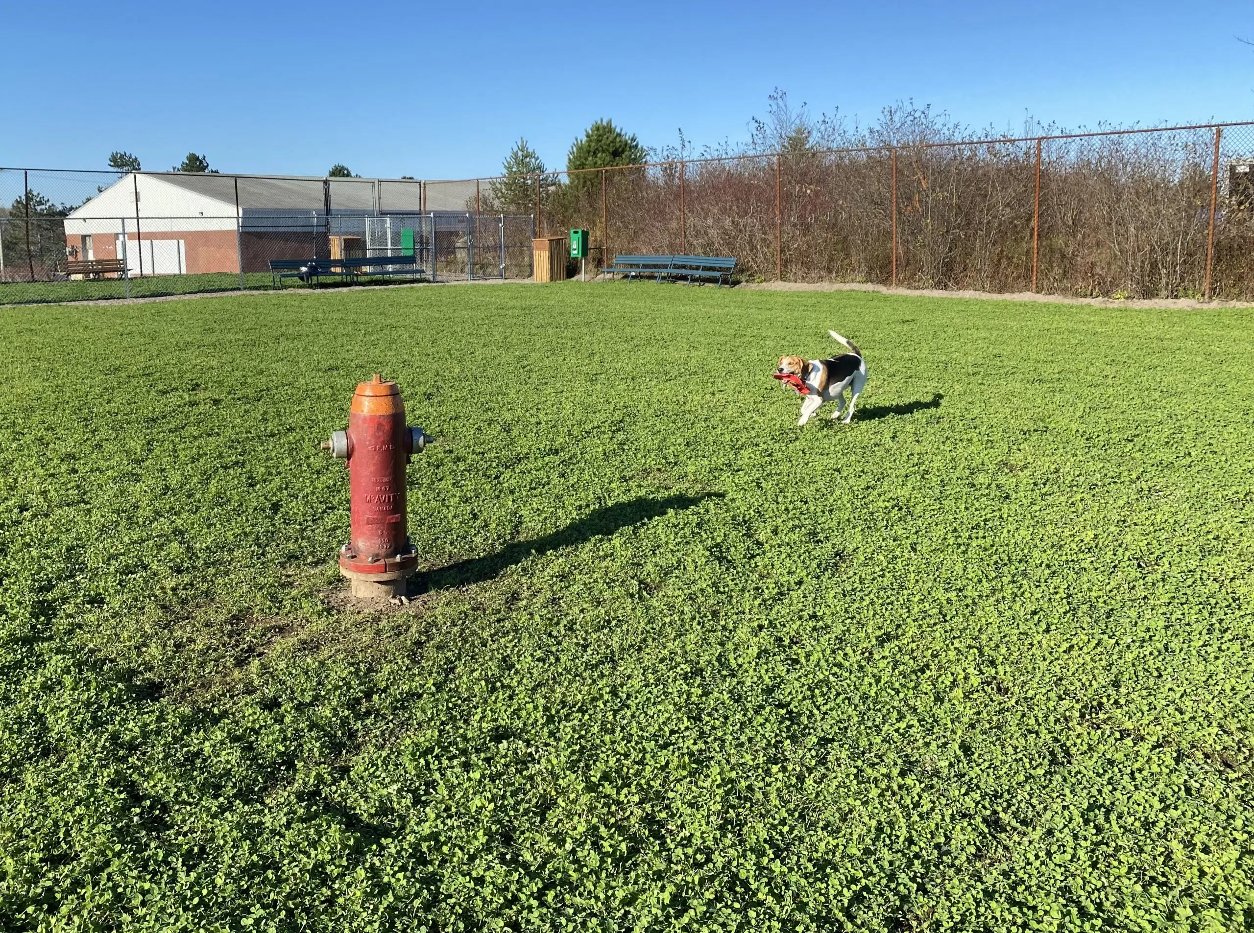 Dog Park Now Located On City's West Side