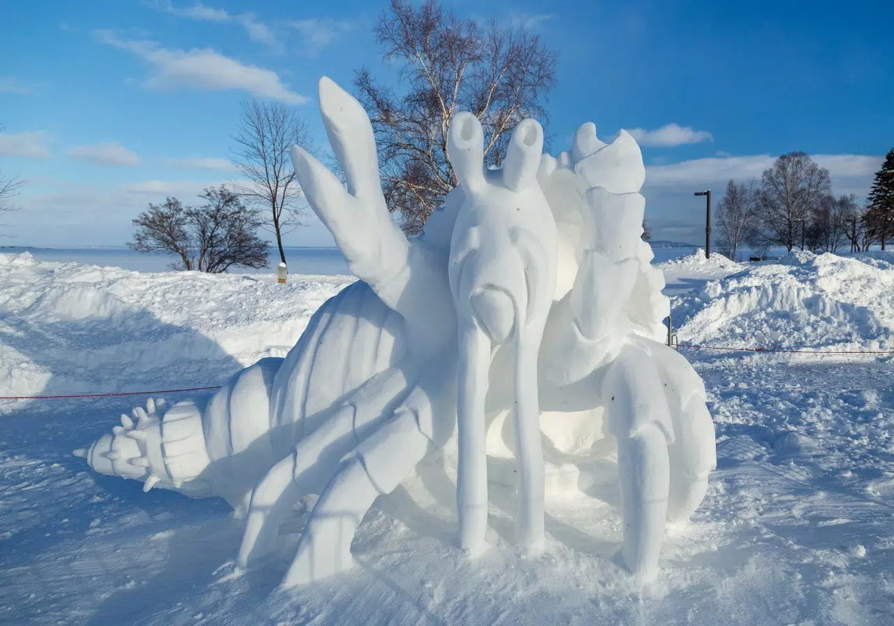 Snow Sculpture Competition Announced