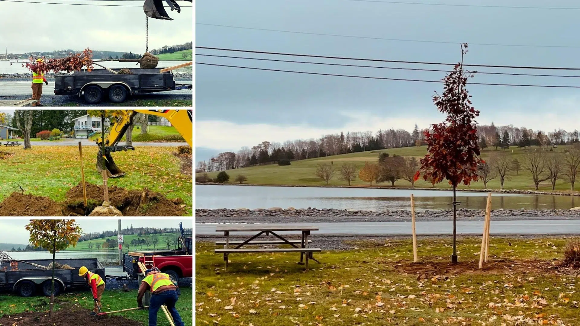 Lunenburg Undertakes Fall Tree Planting