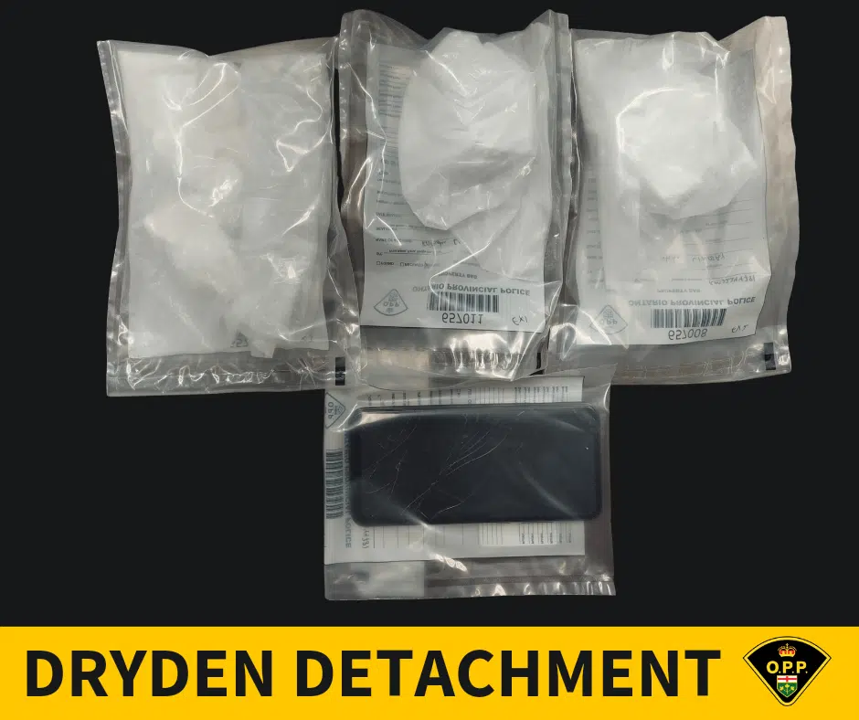 Cocaine Seized In Ignace; Thunder Bay Resident Charged