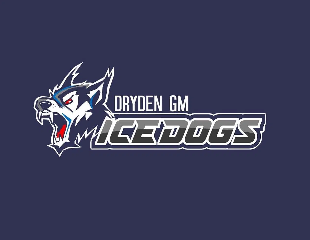 Sveinson returned as Ice Dogs president