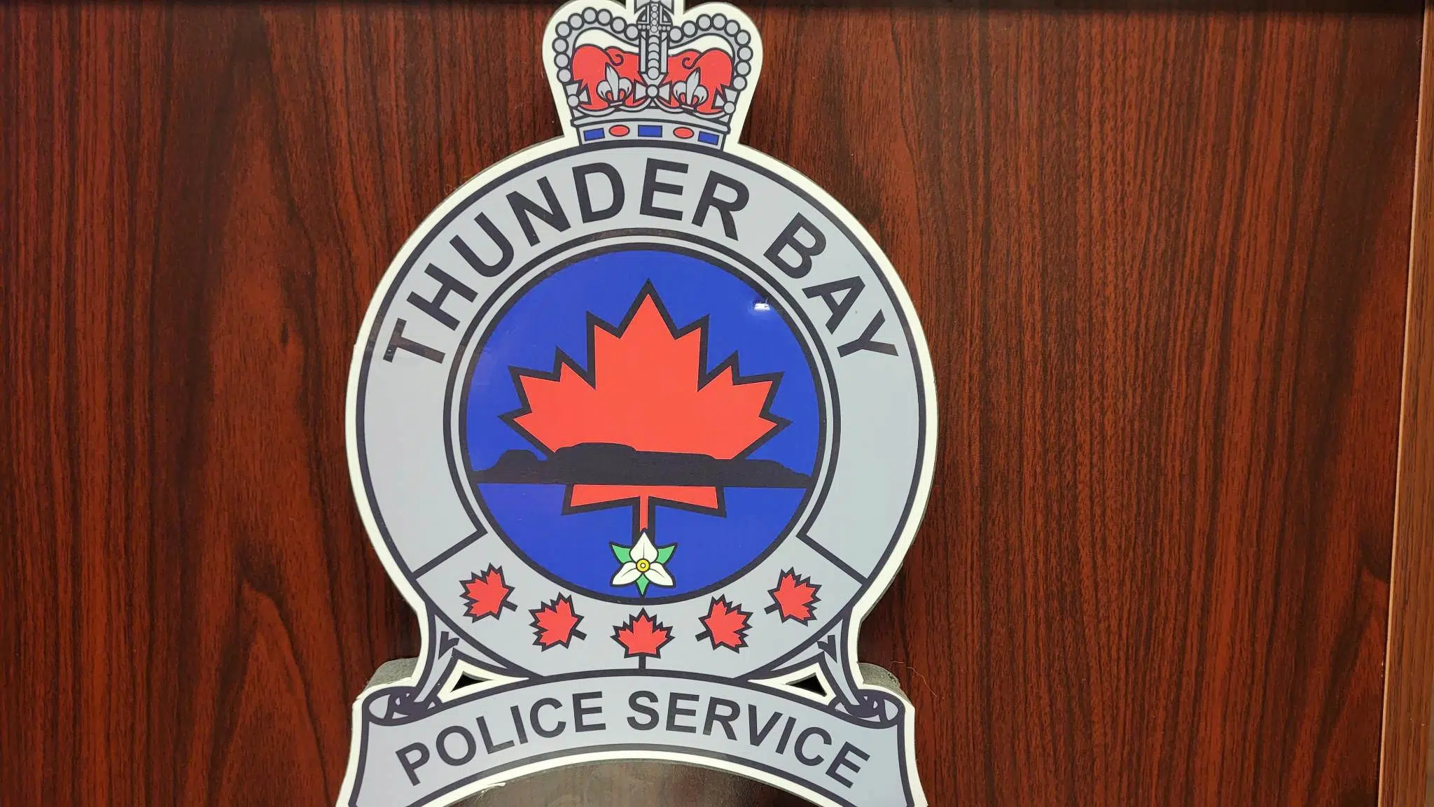 Former Thunder Bay Police Service lawyer charged by OPP