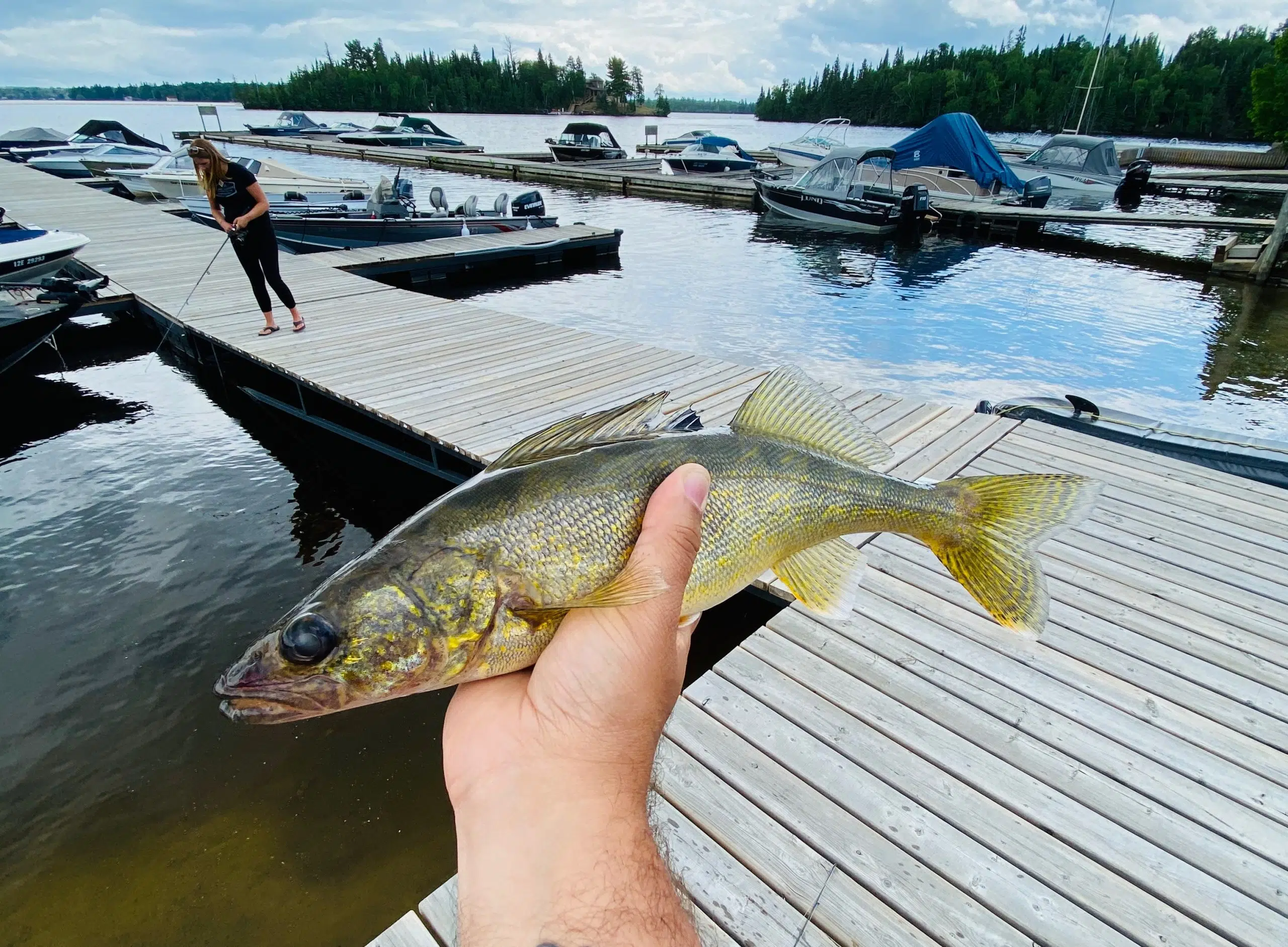 $10,000 in fines after 40 walleye seized from angler