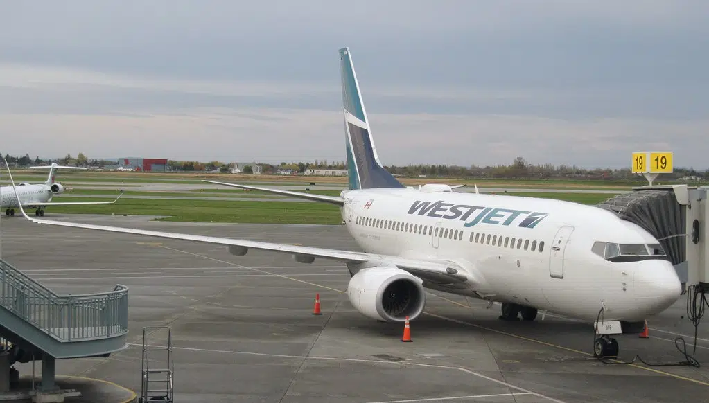 WestJet adds flights between Greater Moncton and Calgary