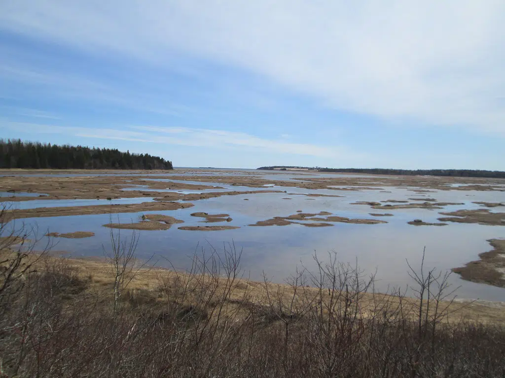 Feds contribute over $1 million for Cape Jourimain Nature Centre