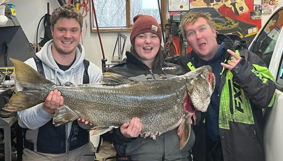 Monster Lake Trout caught in Red Lake area