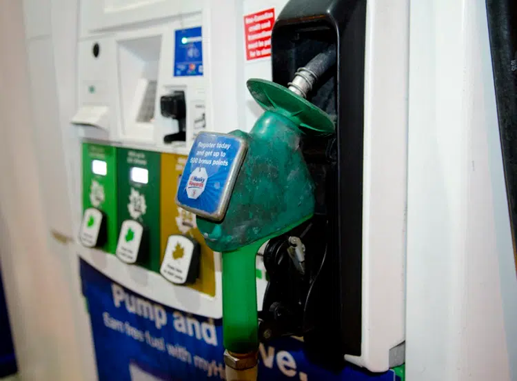 Little change likely at the pumps