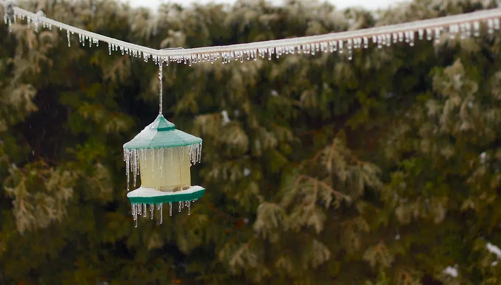 Freezing rain warnings issued for most of mainland Nova Scotia
