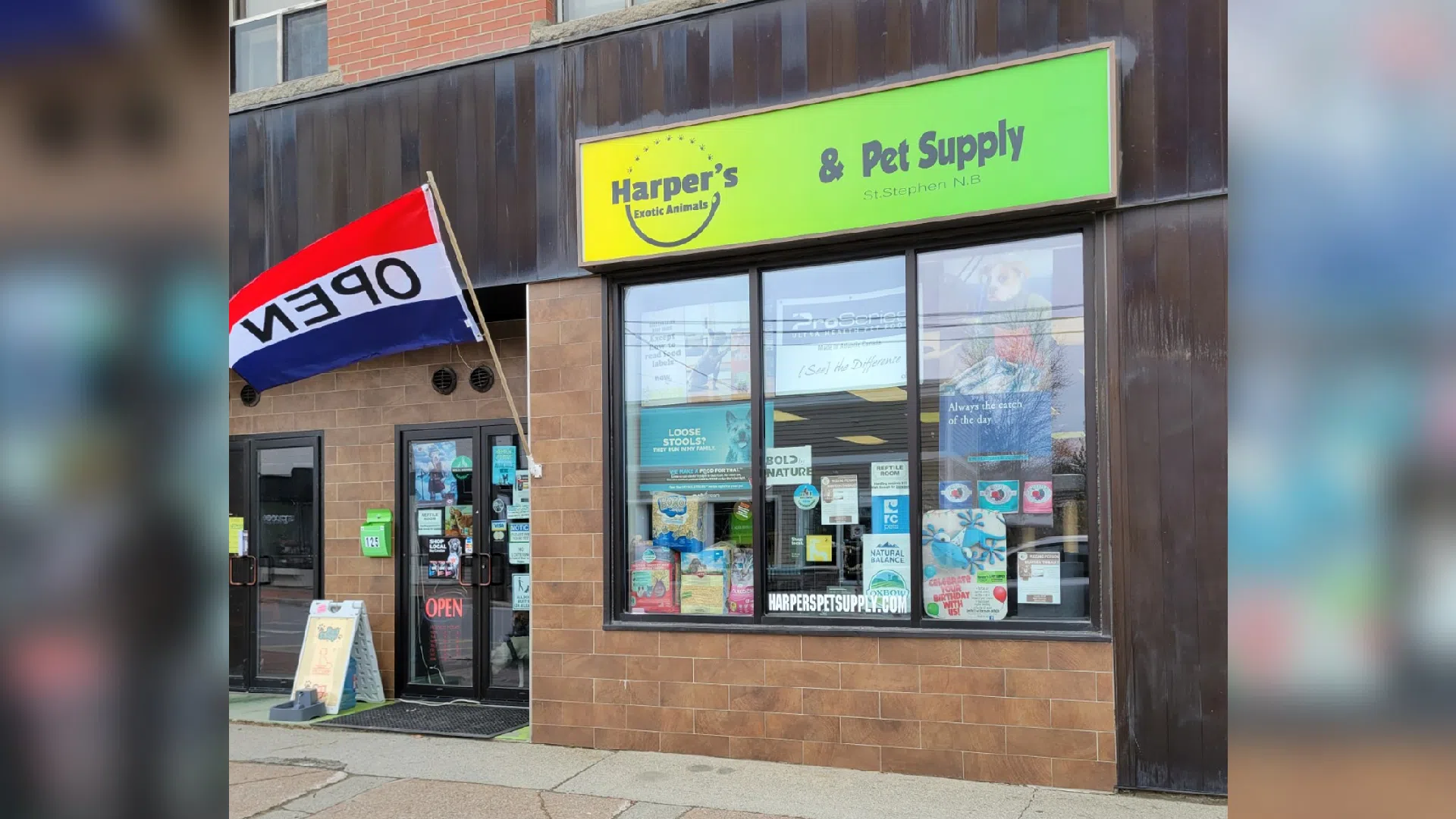 'We're really scared:' N.B. pet store forced to close