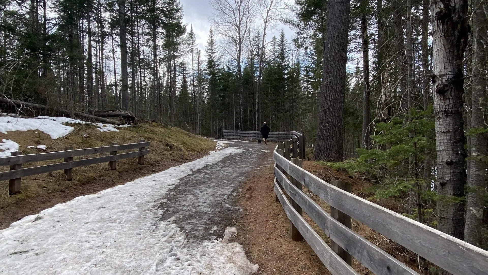 Trail closures at Mill Creek Nature Park