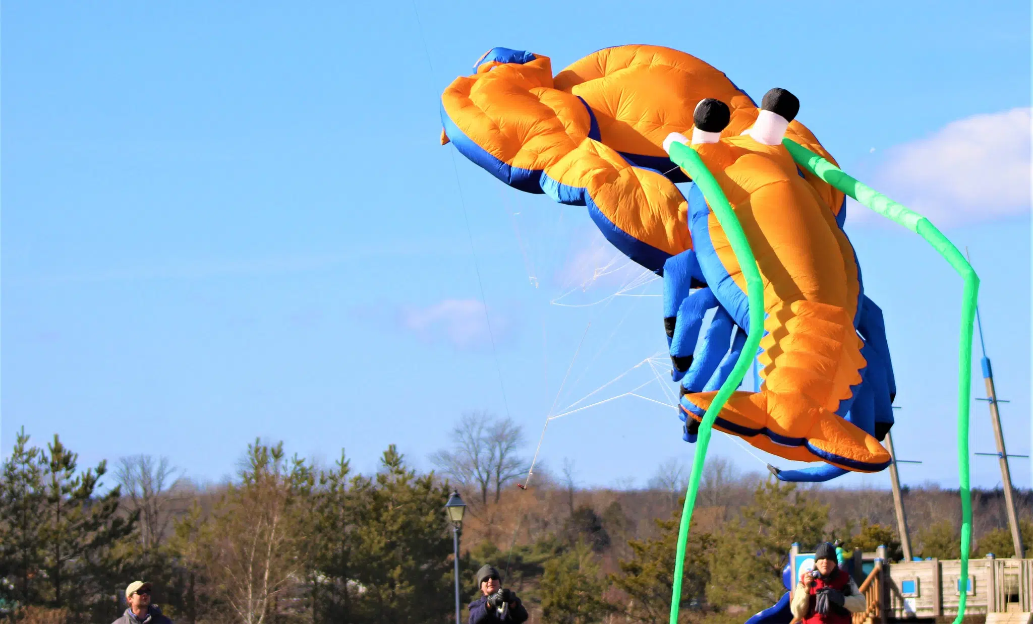 Over 100 kites available at this year's MODL Family Fun Day