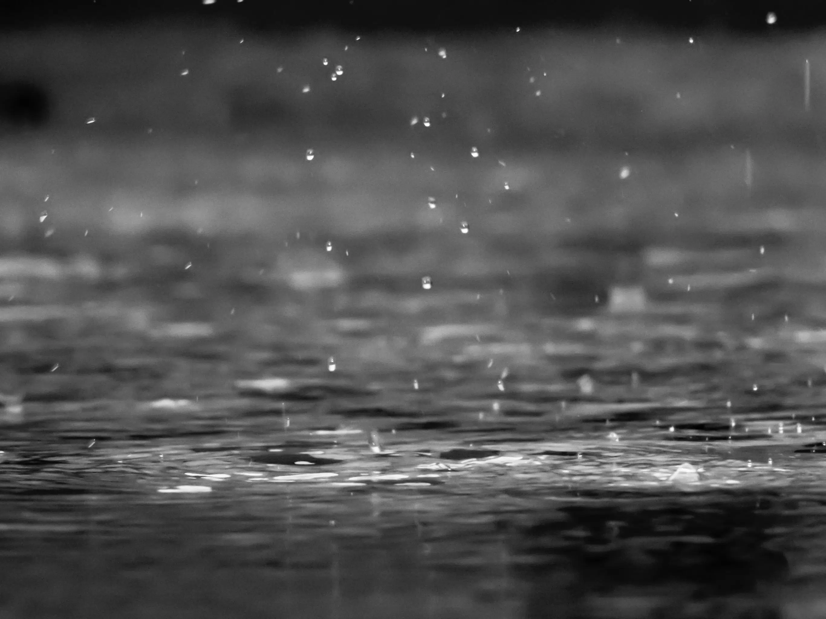 Rainfall warning in effect - another 20mm possible