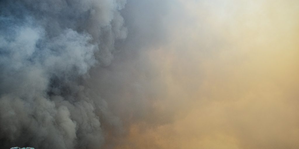 As charges laid, Barrington still healing from wildfire - Vimarsana News
