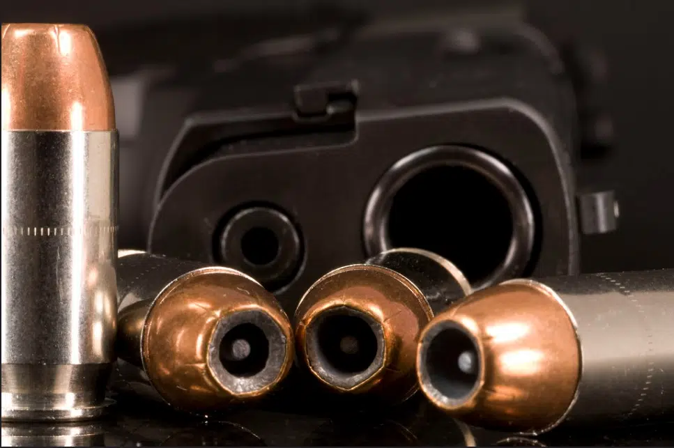 Minnesota Moves to Adopt Gun-Safety Laws