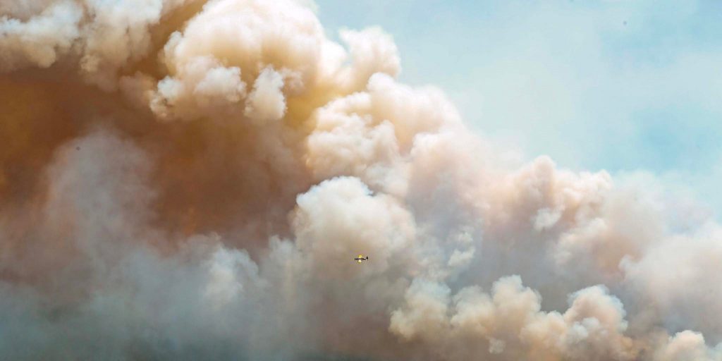 Charges laid in Barrington Lake wildfire - Vimarsana News