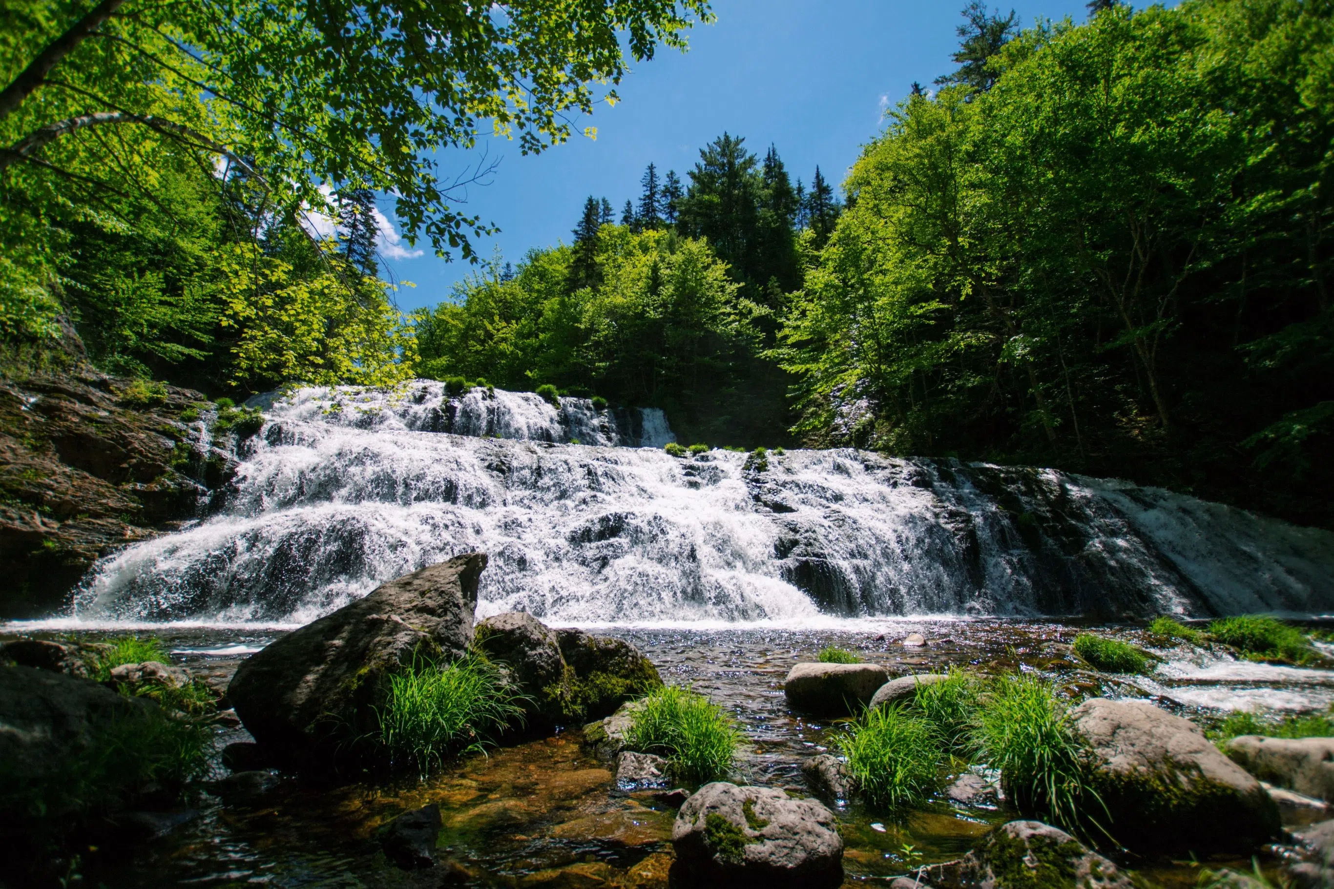 N.B. should set new targets for protected areas: survey