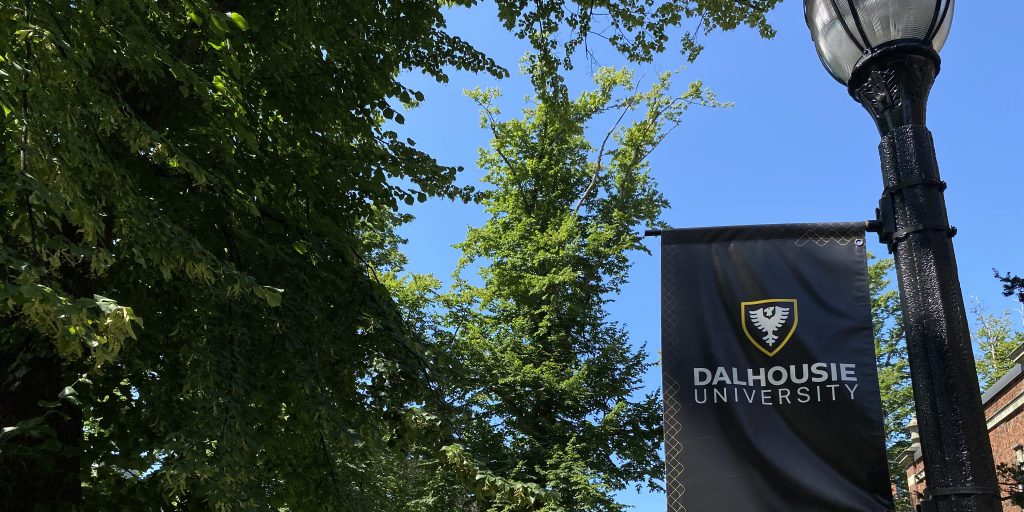 New master of nursing program coming to Dalhousie - Vimarsana News
