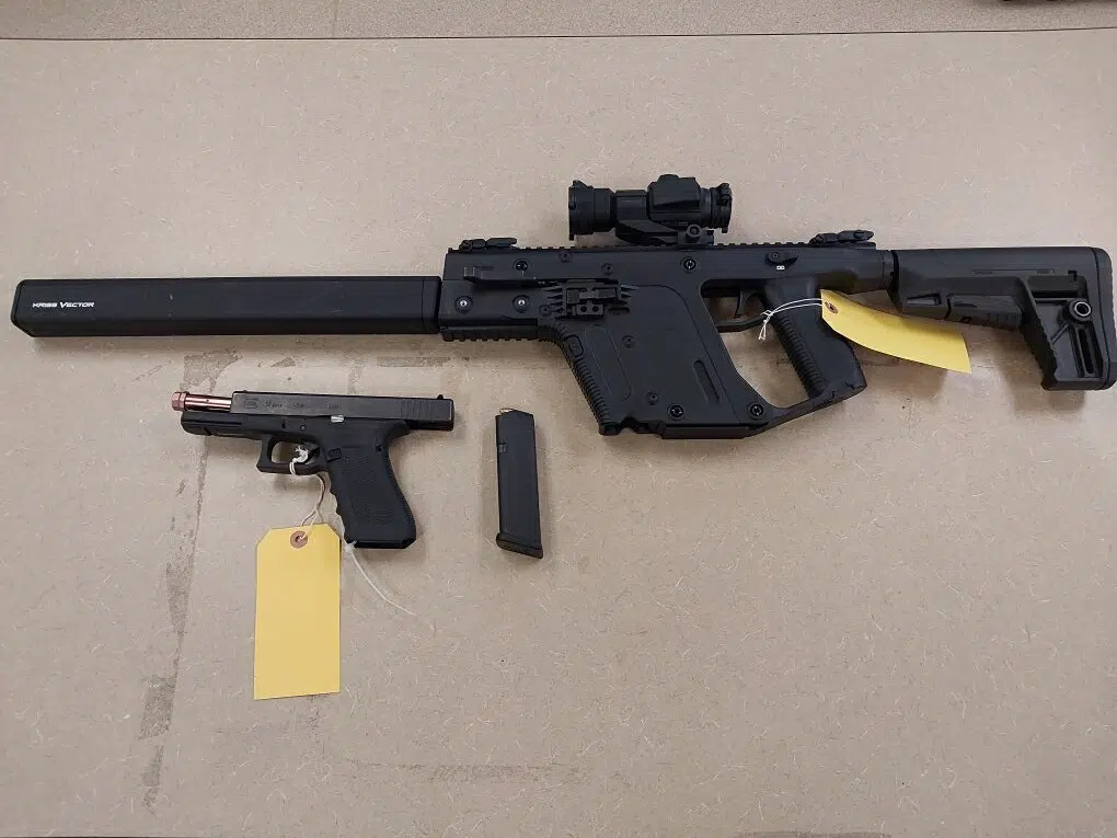 OPP nab Kingston man on weapon charges