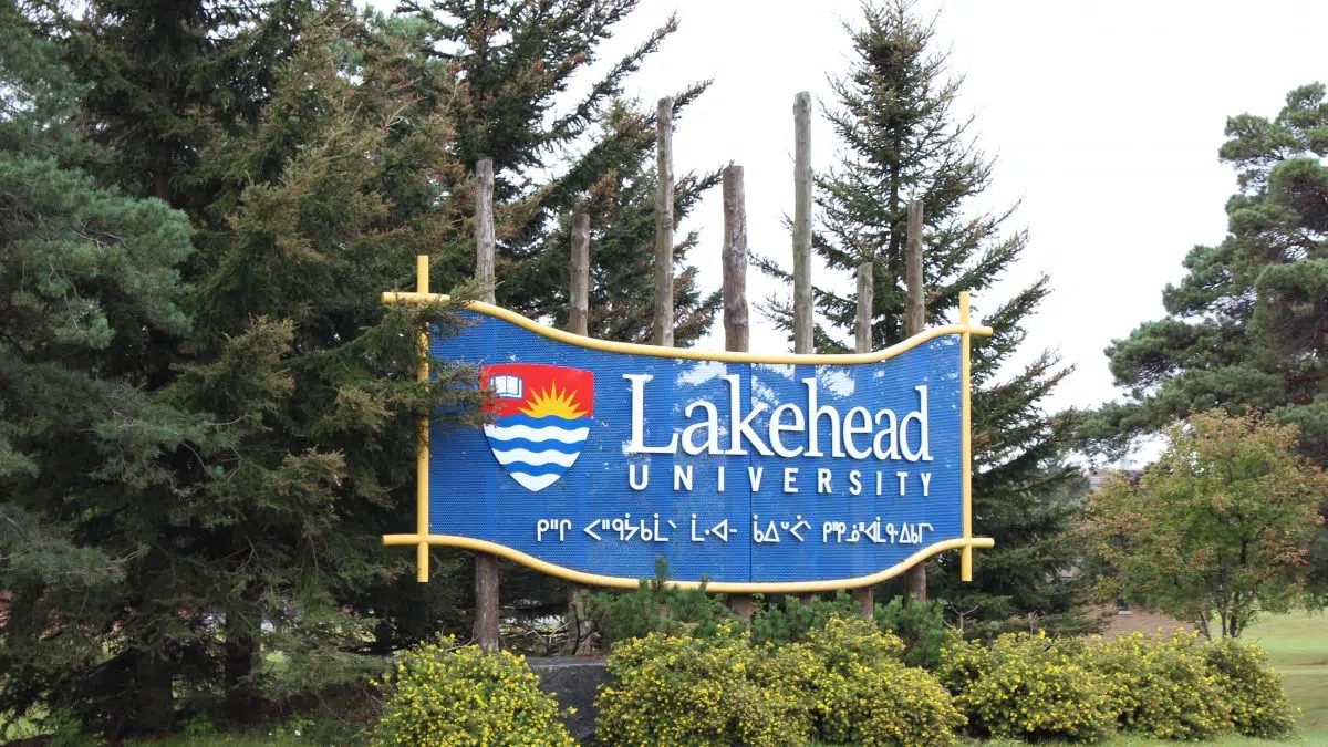 Lakehead University club leading protest against fossil fuel expansion ...