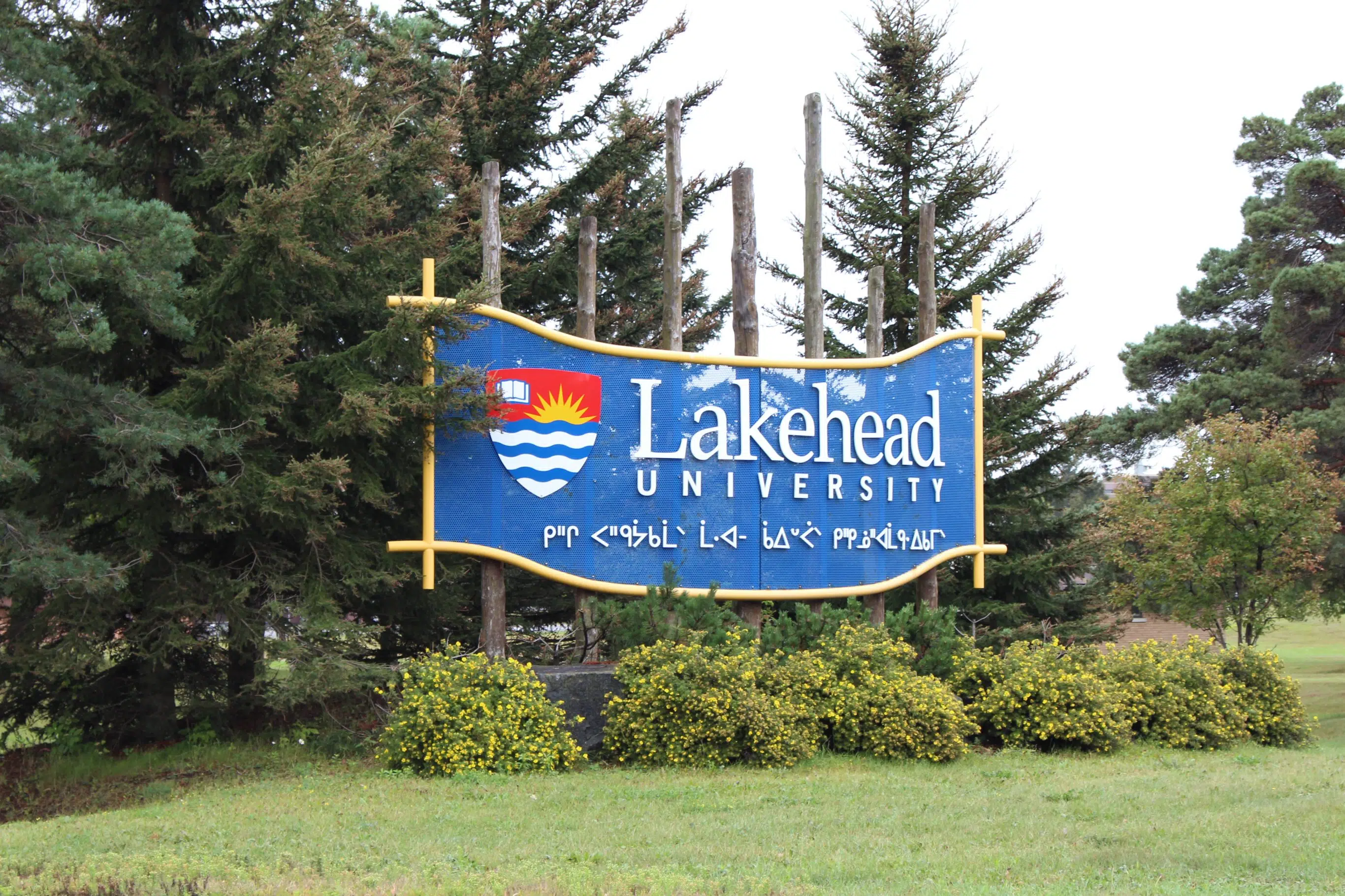 Lakehead University expanding education opportunities