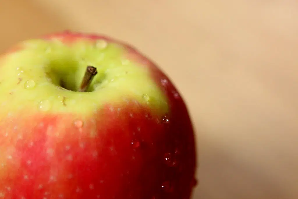 Program expansion makes healthy foods available at more N.B. schools