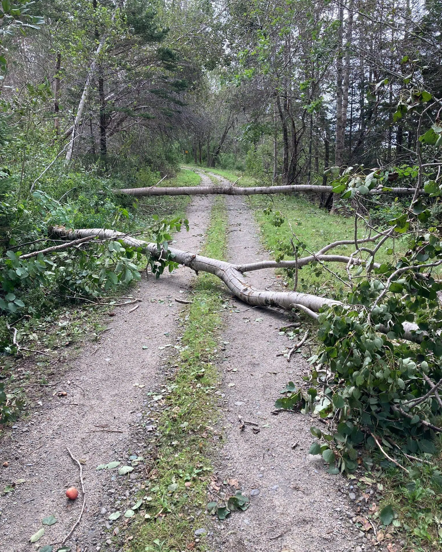 Local trails receive portion of $5M funding for trails damaged by heavy rain