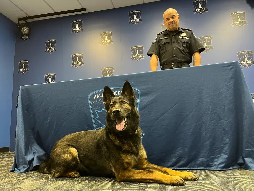 Three animals sworn into Halifax Police force