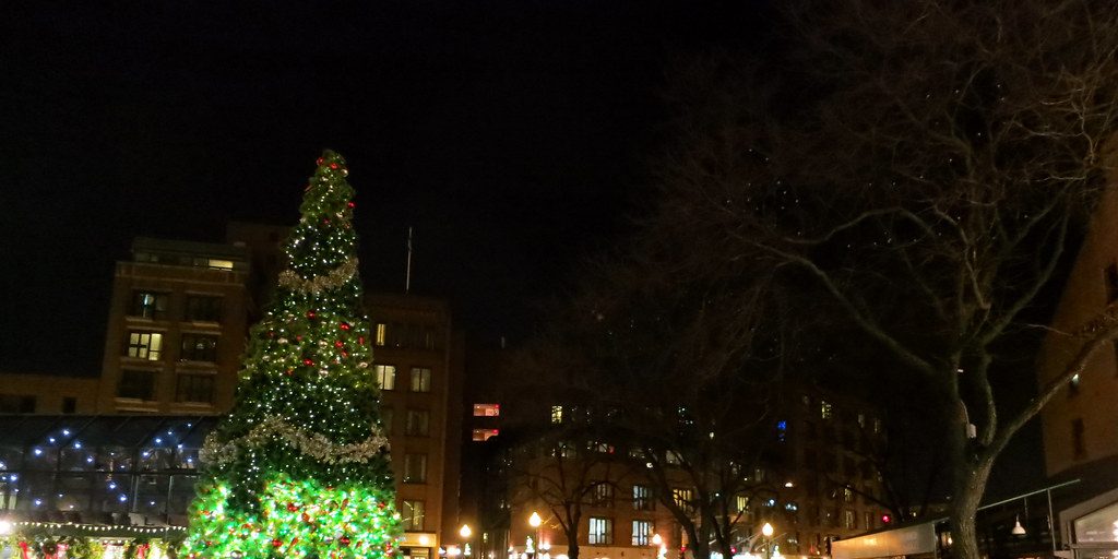 Christmas Tree for Boston coming from Stewiacke - Vimarsana News