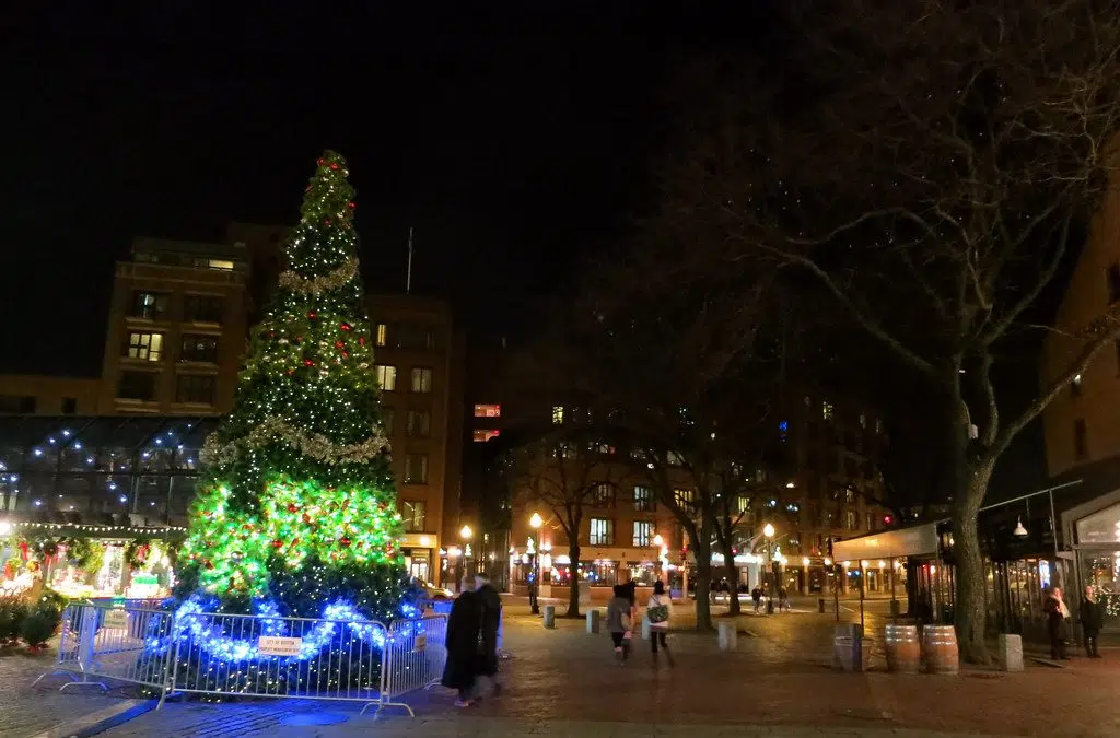 Christmas Tree for Boston coming from Stewiacke CKBW