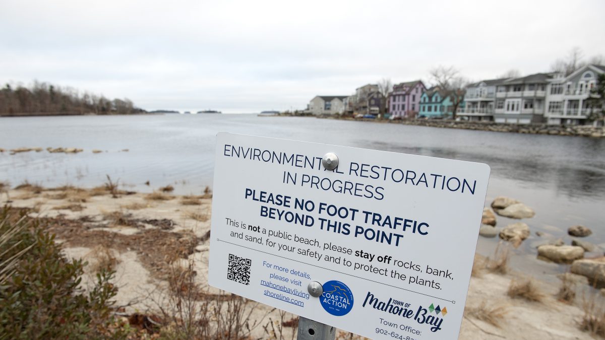 MODL ahead of the curve on coastal protection - Vimarsana News