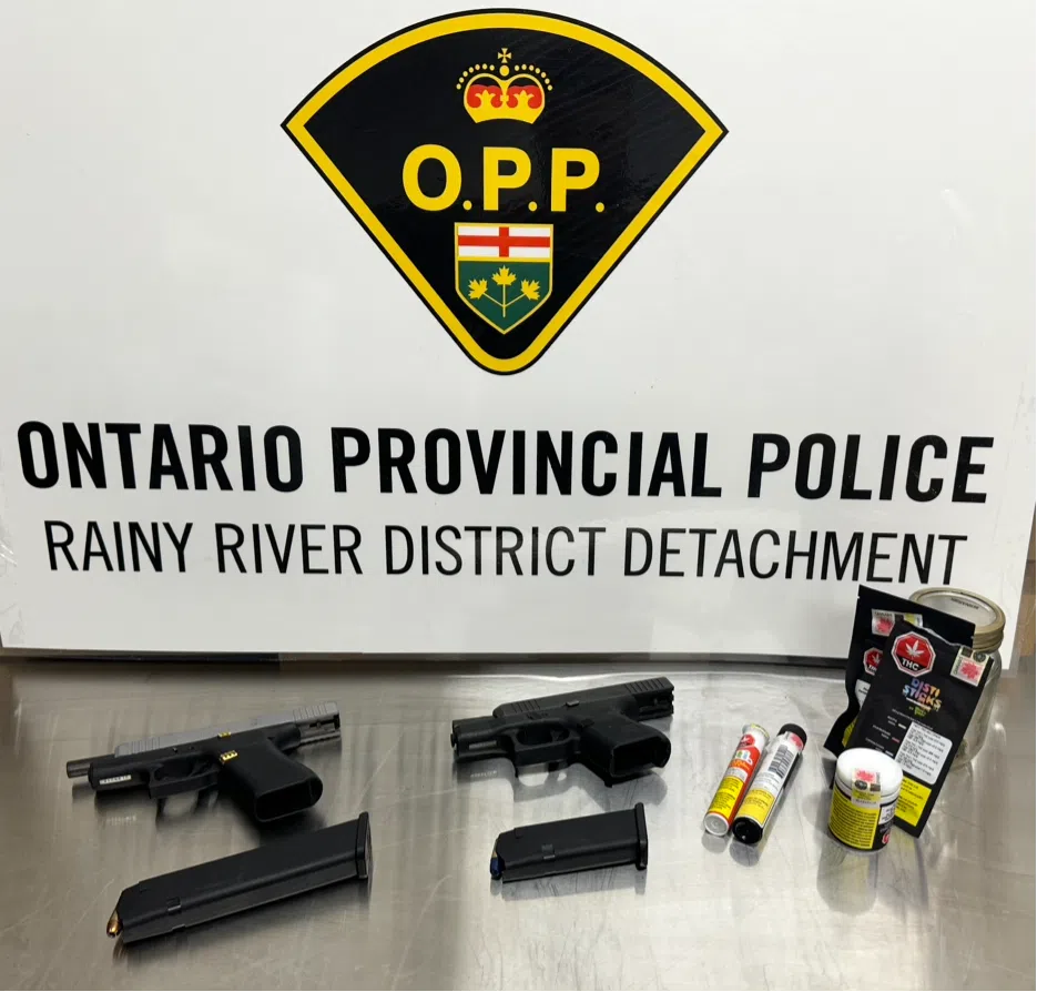 RIDE check results in firearm charges