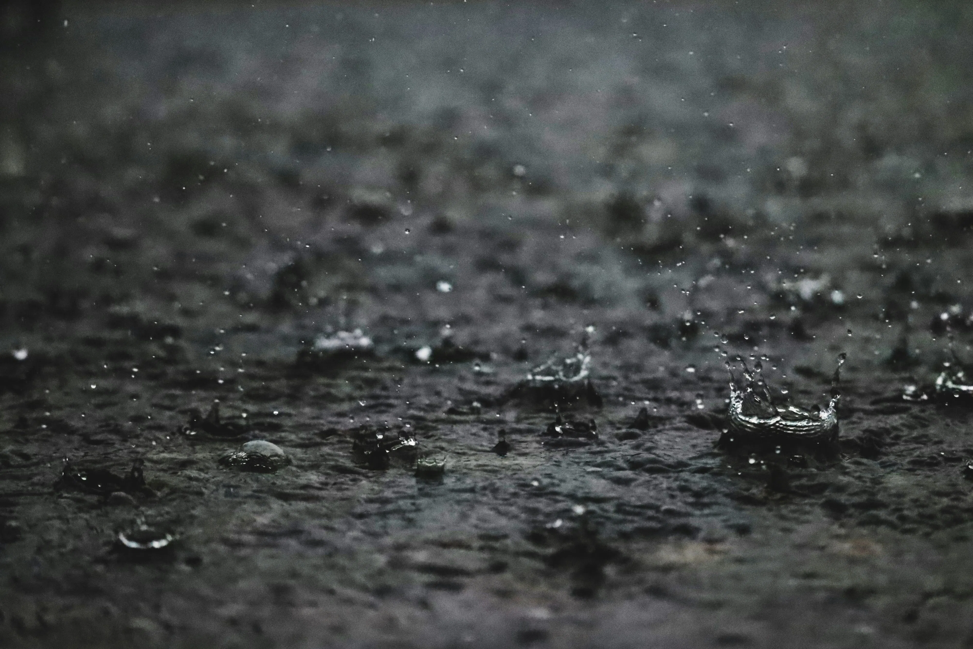 Heavy rain, strong winds to start the week