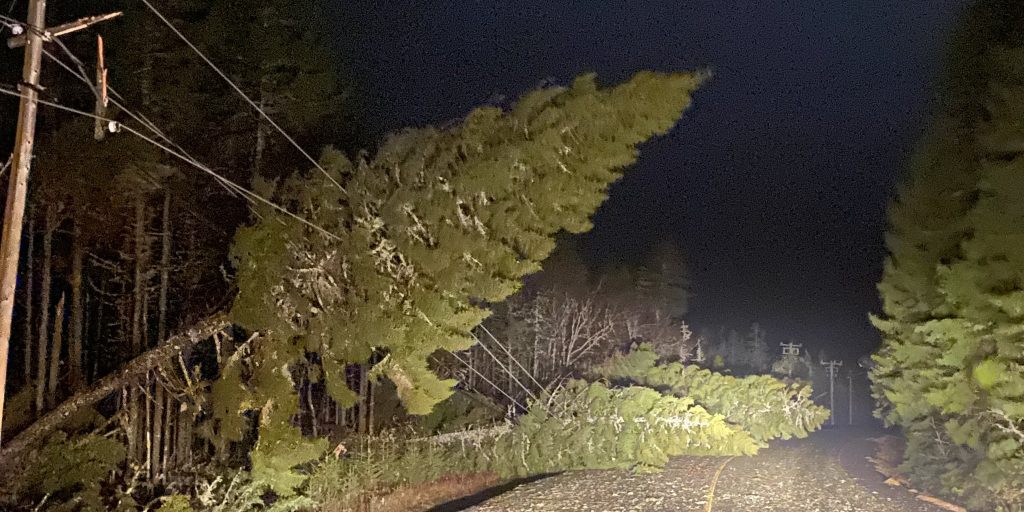 Cleanup begins after damaging winds - Vimarsana News