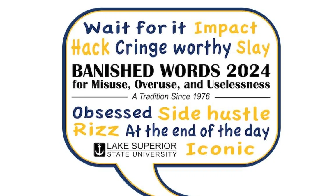 Top Ten Words Phrases That Should Be Banished In 2024 Country 105   Banished Words 2024 1147x675 