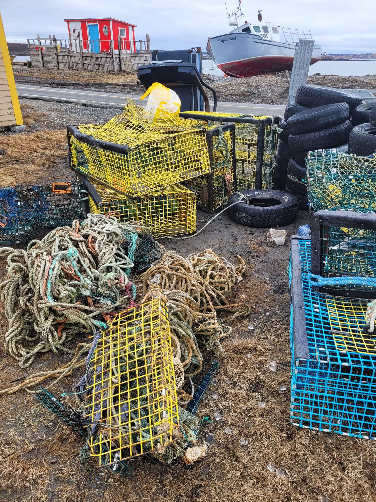 Scotian Shores hits 1 million pound cleaned mark