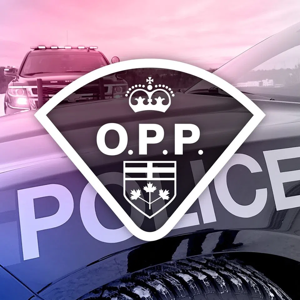 OPP issue long list of charges in Dryden assault