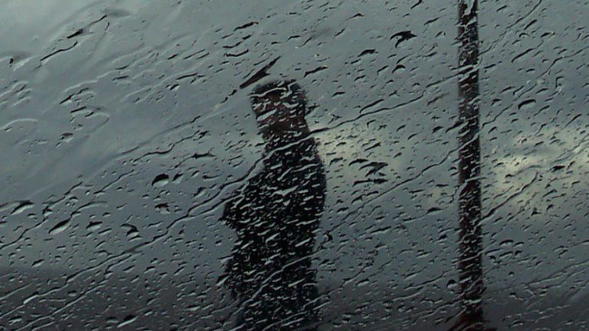 Heavy rain, high winds for southeastern N.B. - Vimarsana News