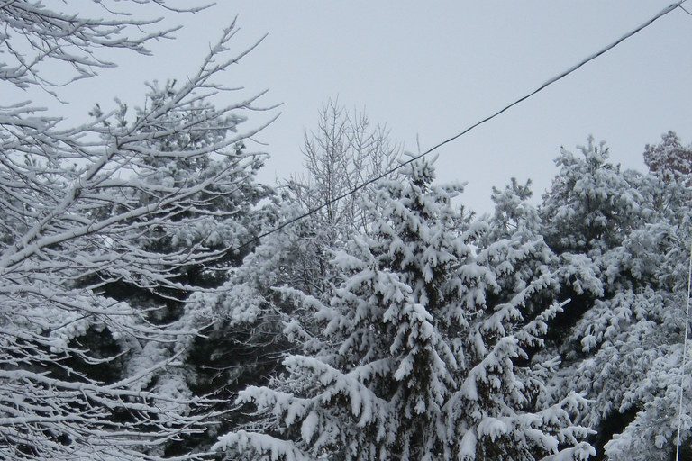 Cape Breton bracing for 100+ centimetres of snow, schools closing on Monday - Vimarsana News